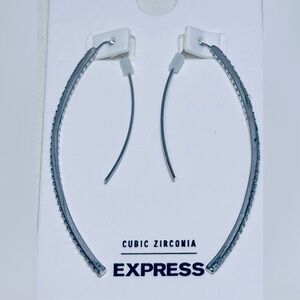 Express Silver Tone Fish Hoop earrings NWT